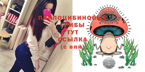 дмт Аркадак
