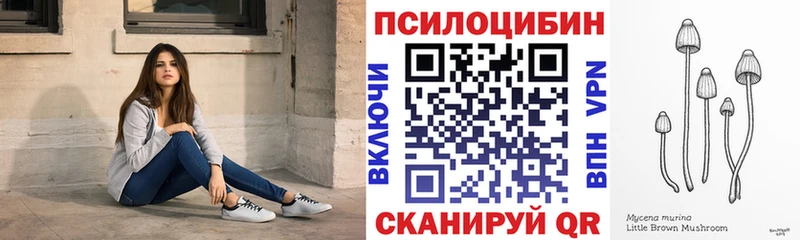 Псилоцибиновые грибы Cubensis Углич